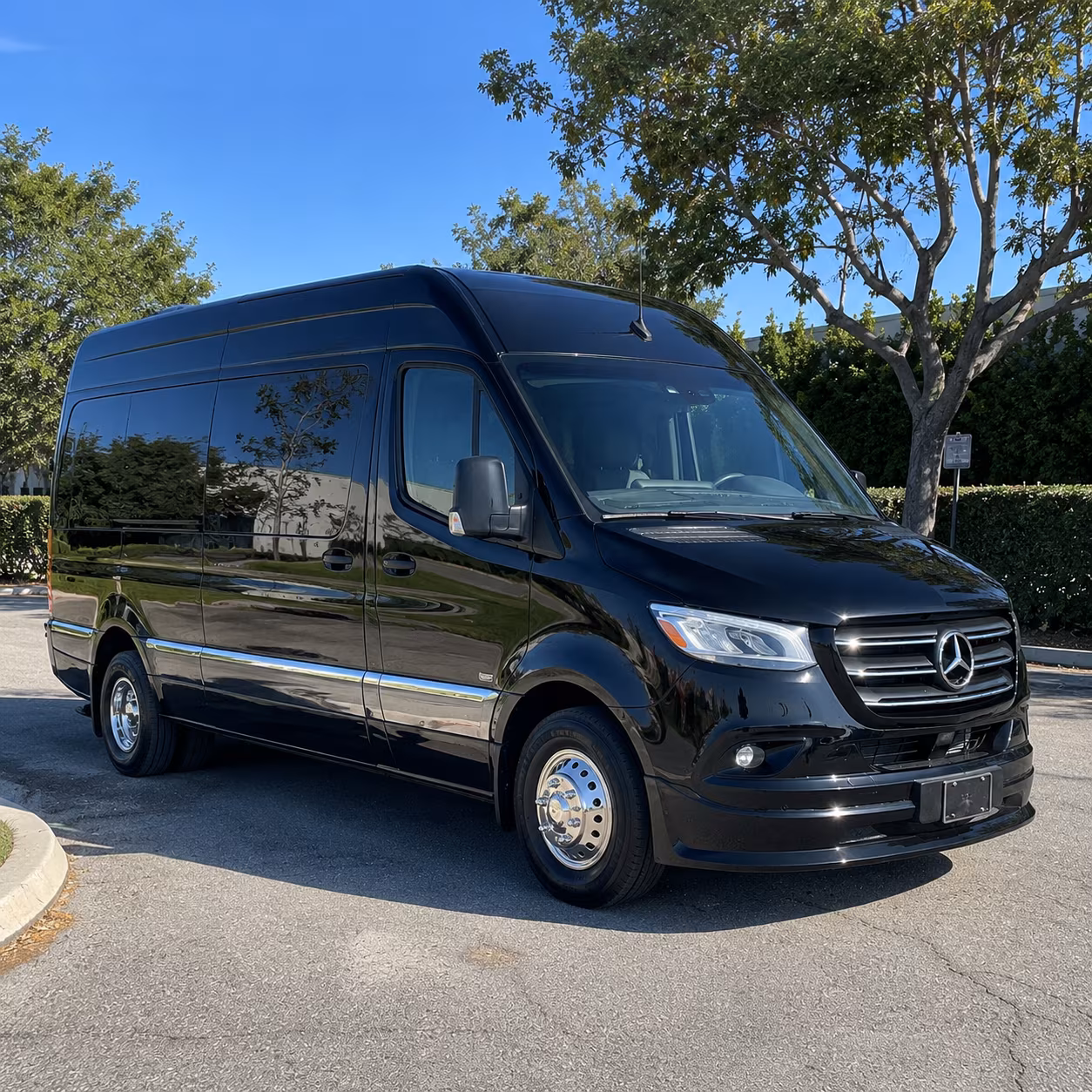 parent coordinated san jose prom sprinter van bookings with set pickup and return times