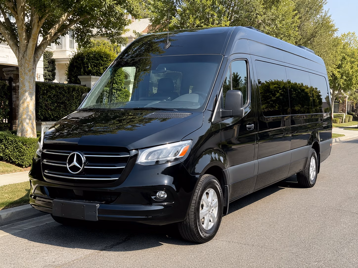 san jose 12 passenger sprinter van